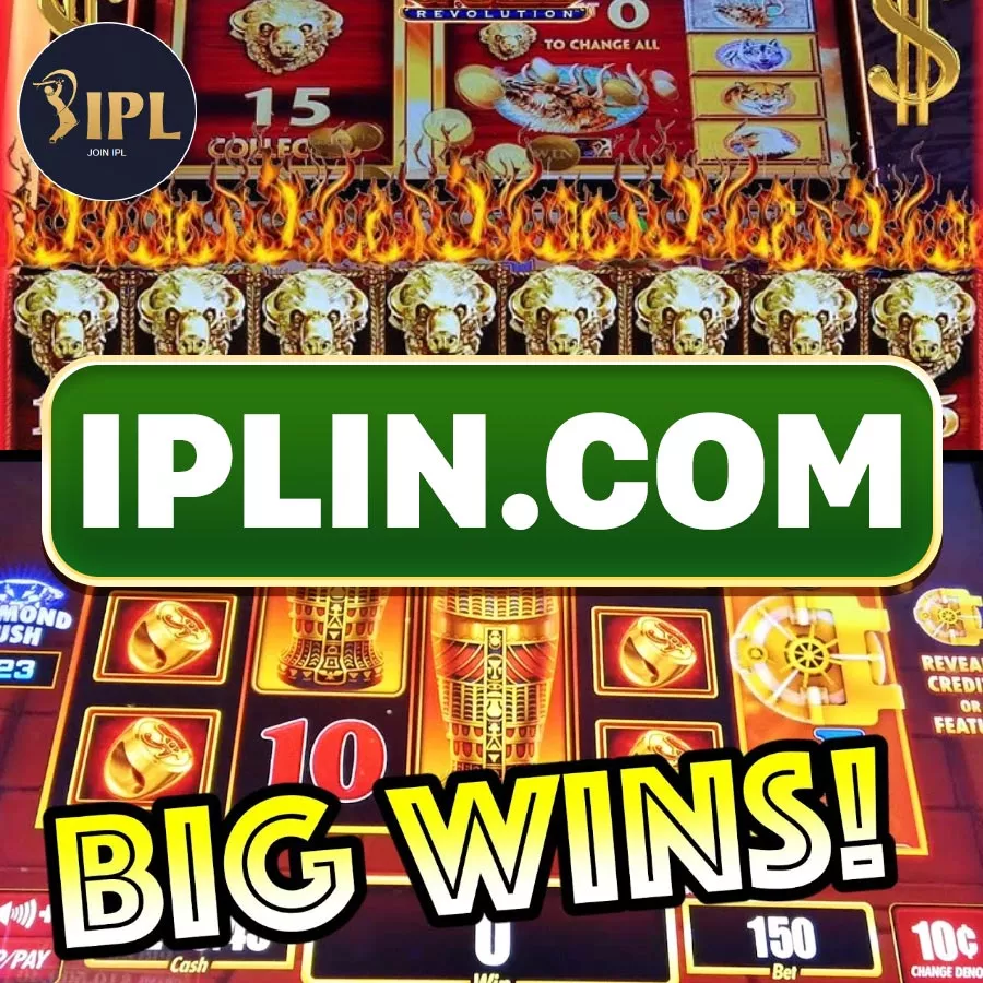 Best Live Casino Games